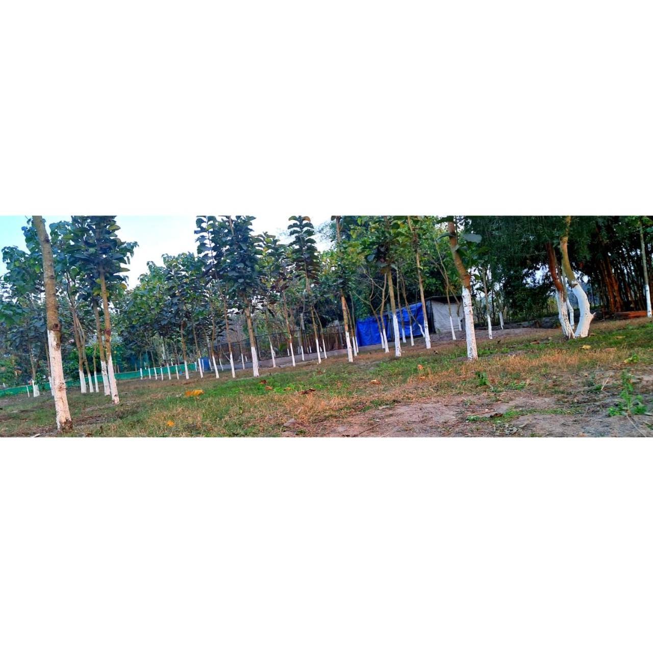 Krishna Farms And Village Resort Siliguri Buitenkant foto