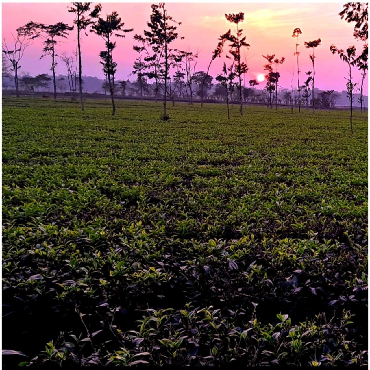 Krishna Farms And Village Resort Siliguri Buitenkant foto